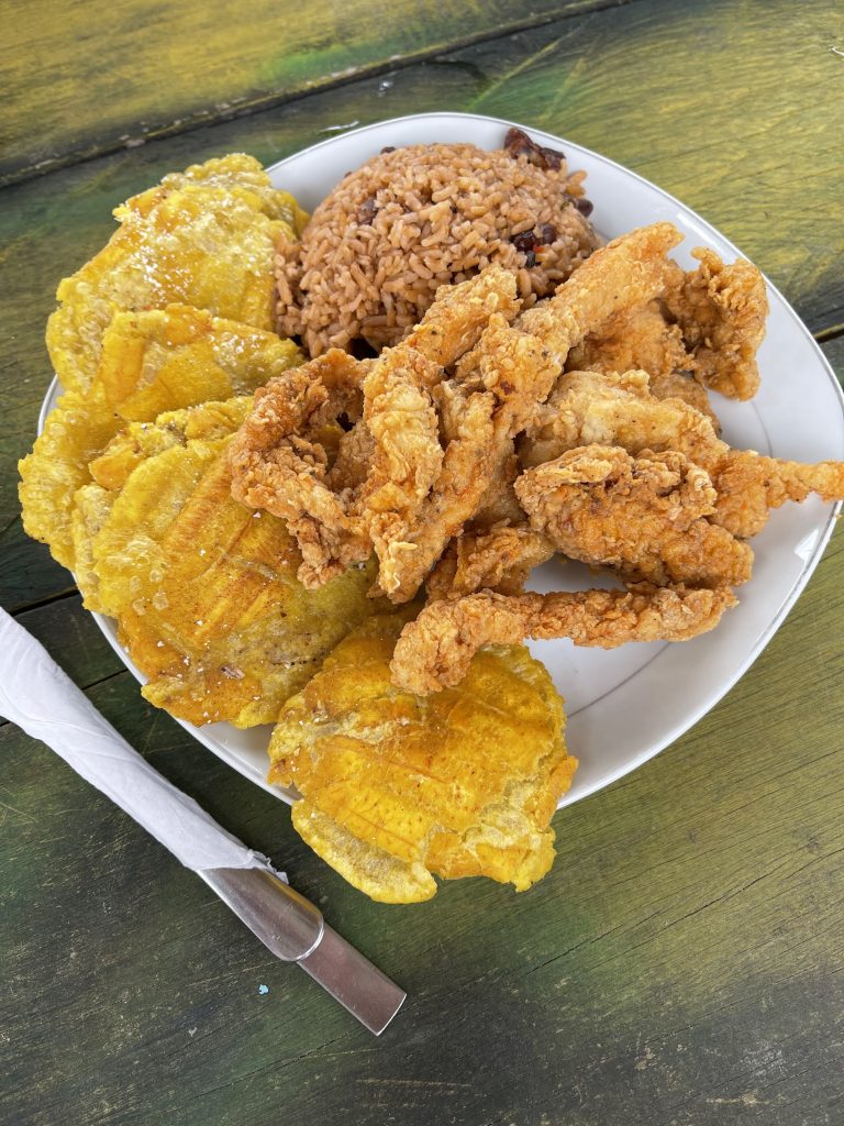 patacones, gefrituurde kip, typisch gerecht panama, gerechten panama, eten panama
