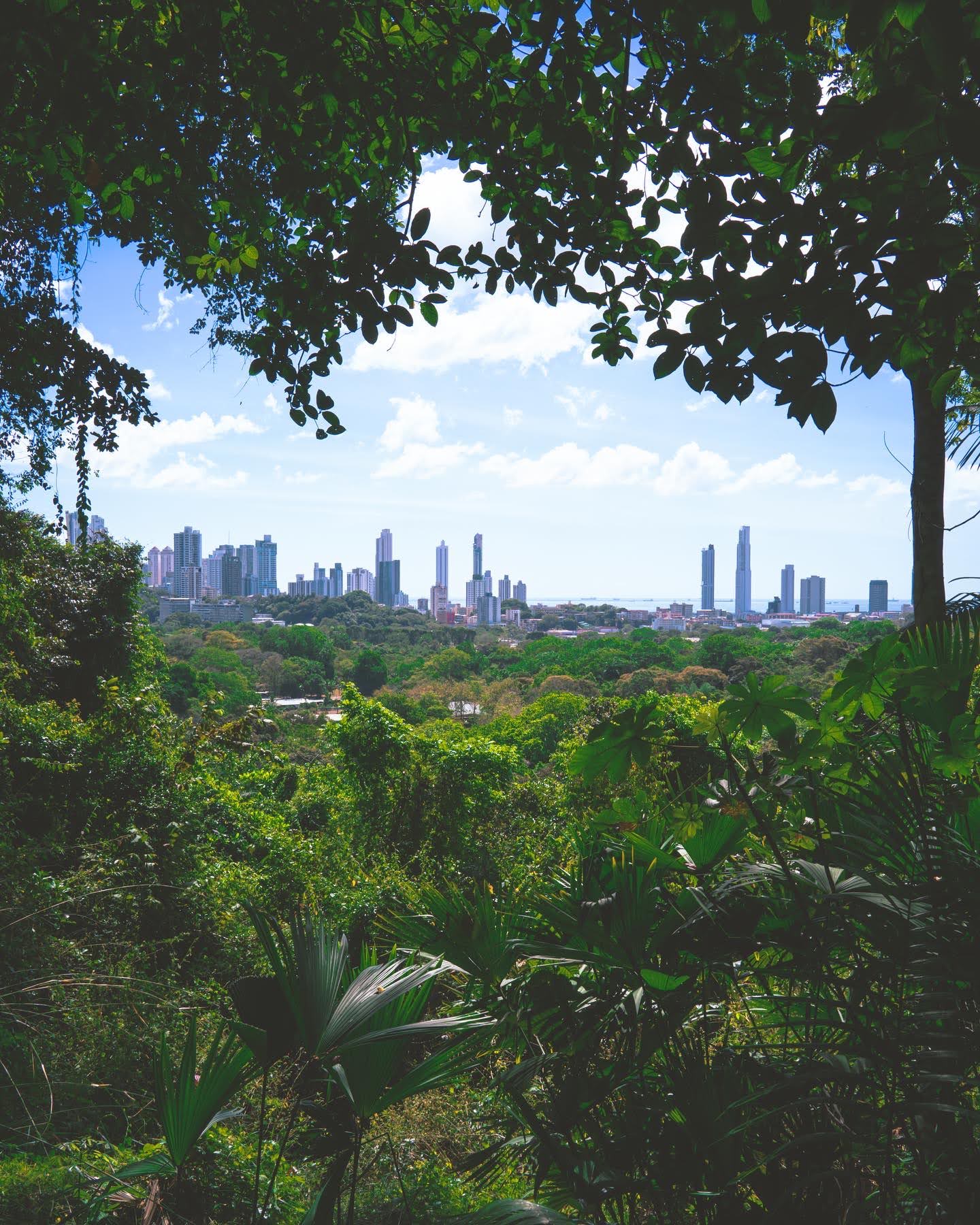 metropolitan park panama, uitzicht panama stad, ontsnapping aan de stad, panama stad, natuurpark panama, uitkijkpunt panama