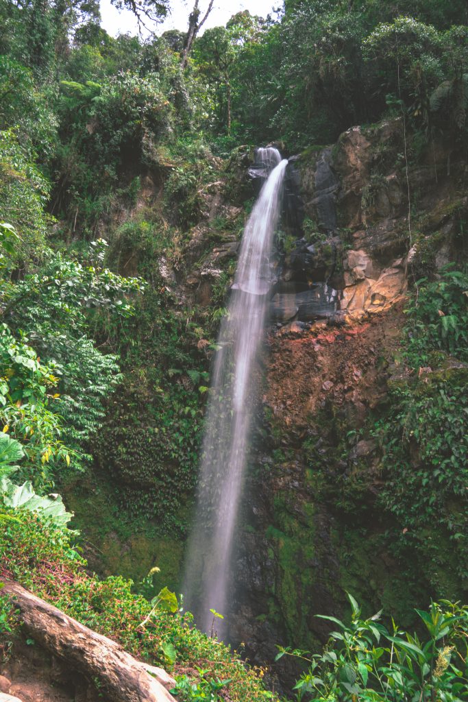 lost waterfalls panama, waterval panama, waterval boquete, boquete panama