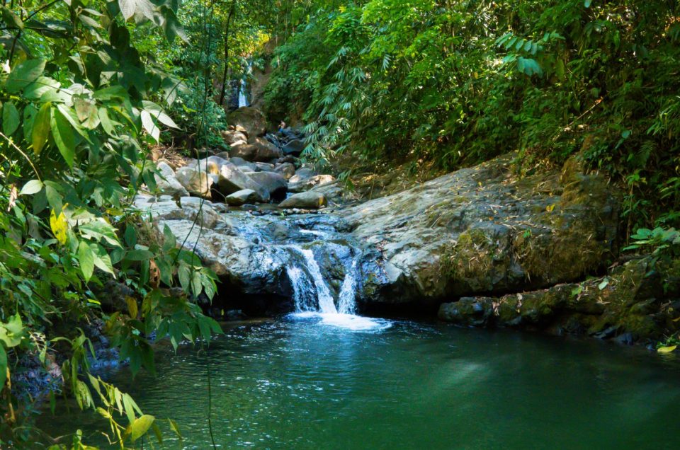 De 8 leukste tips voor Uvita Costa Rica