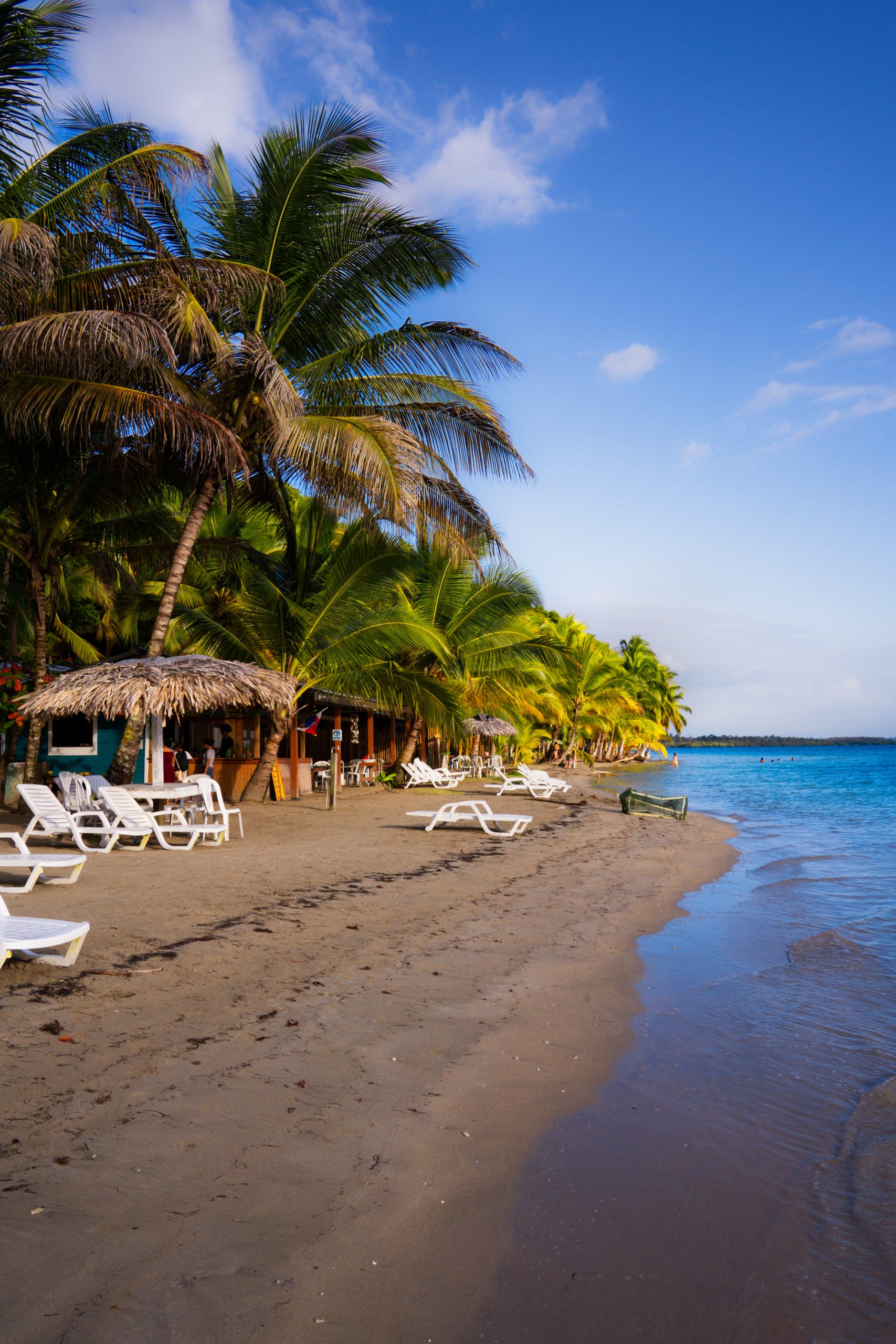 starfish beach, strand panama, starfish beach panama, tropisch strand bocas del toro, strand bocas del toro, isla colon