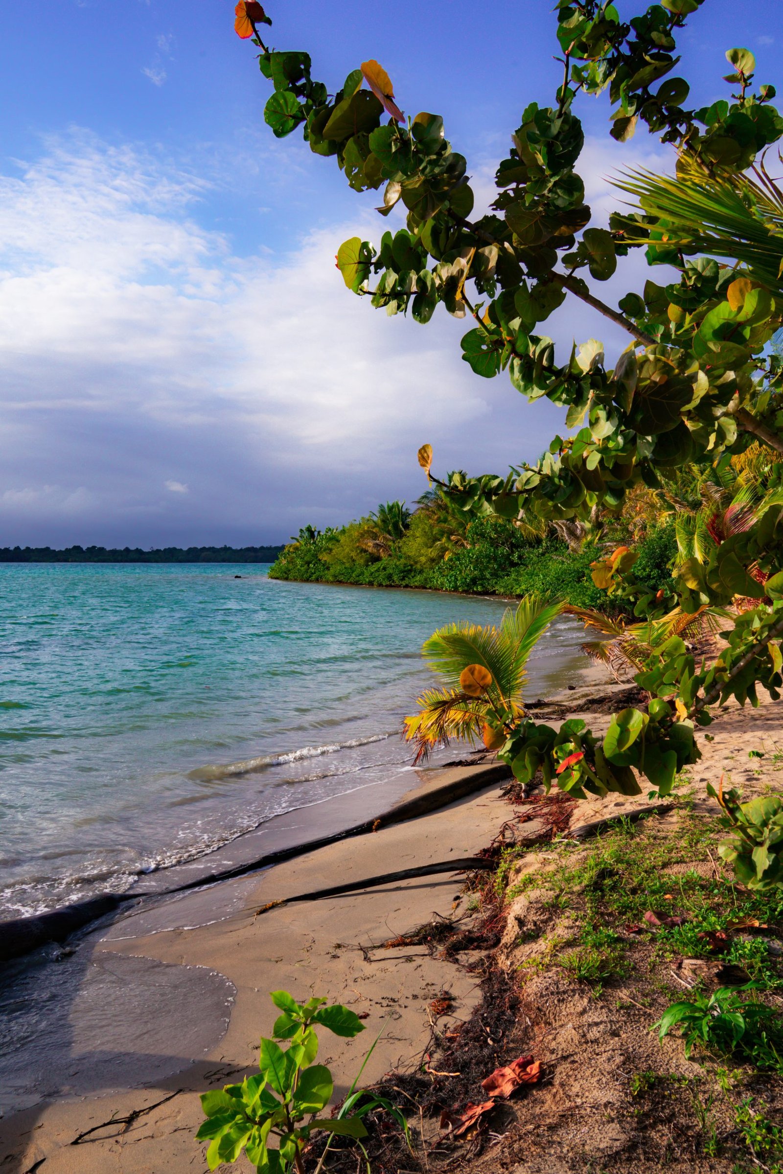 strand bocas del toro, bocas del toro panama, strand panama, eilanden panama