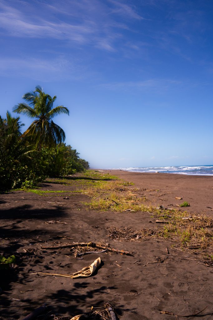 strand tortuguero national park, tortuguero costa rica, strand costa rica, strand tortuguero, zwart zanstrand costa rica