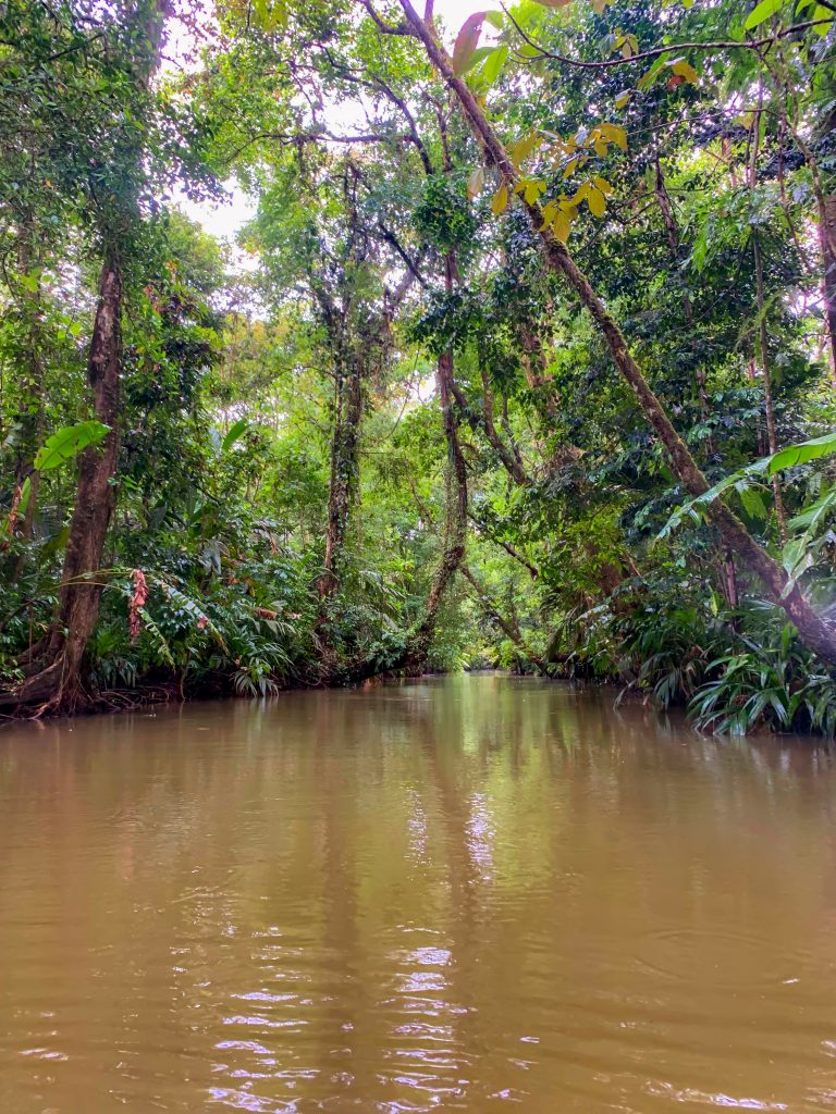 kanaal tortuguero national park, tortuguero national park, rivier tortuguero, tortuguero costa rica