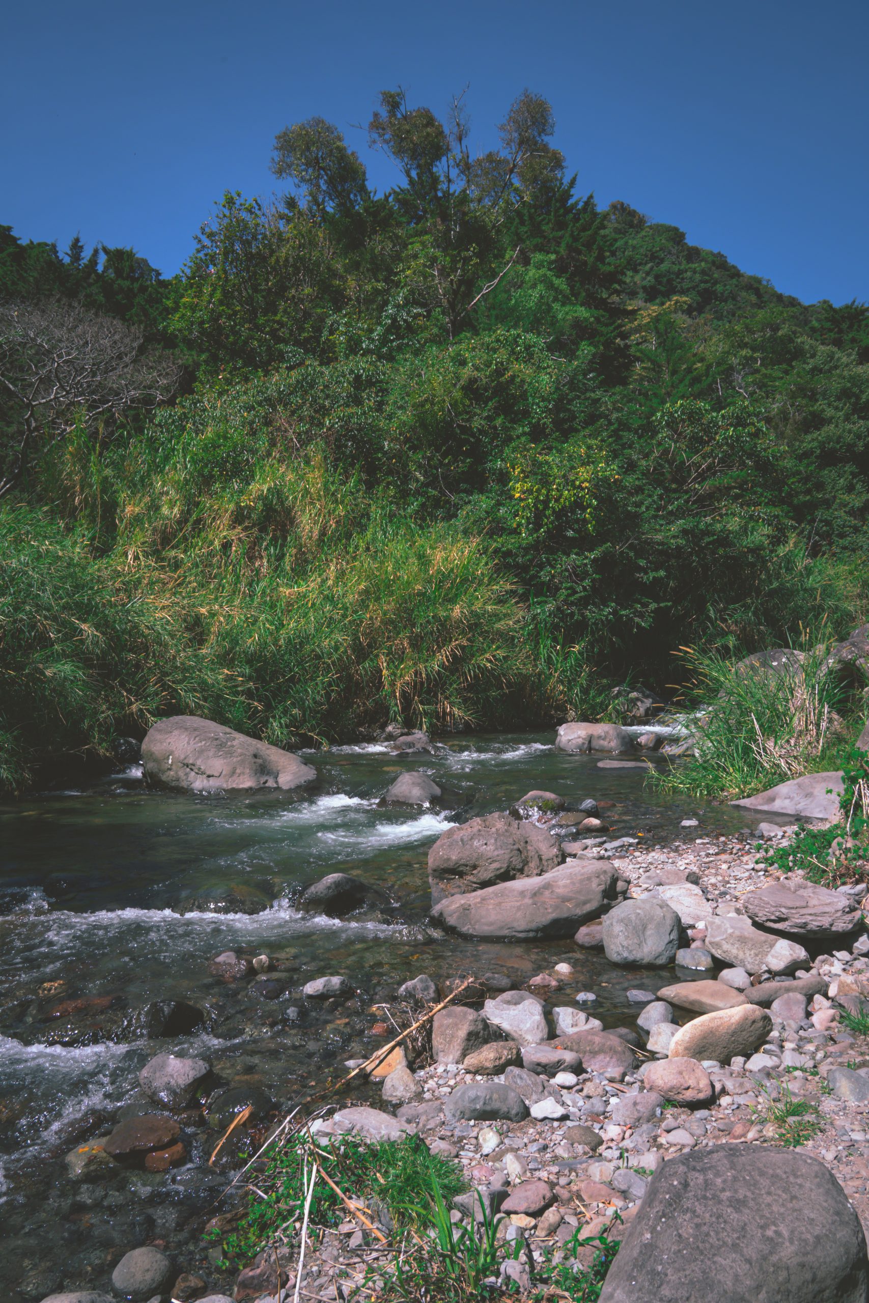 rivier boquete panama, boquete panama, rivier panama, boquete