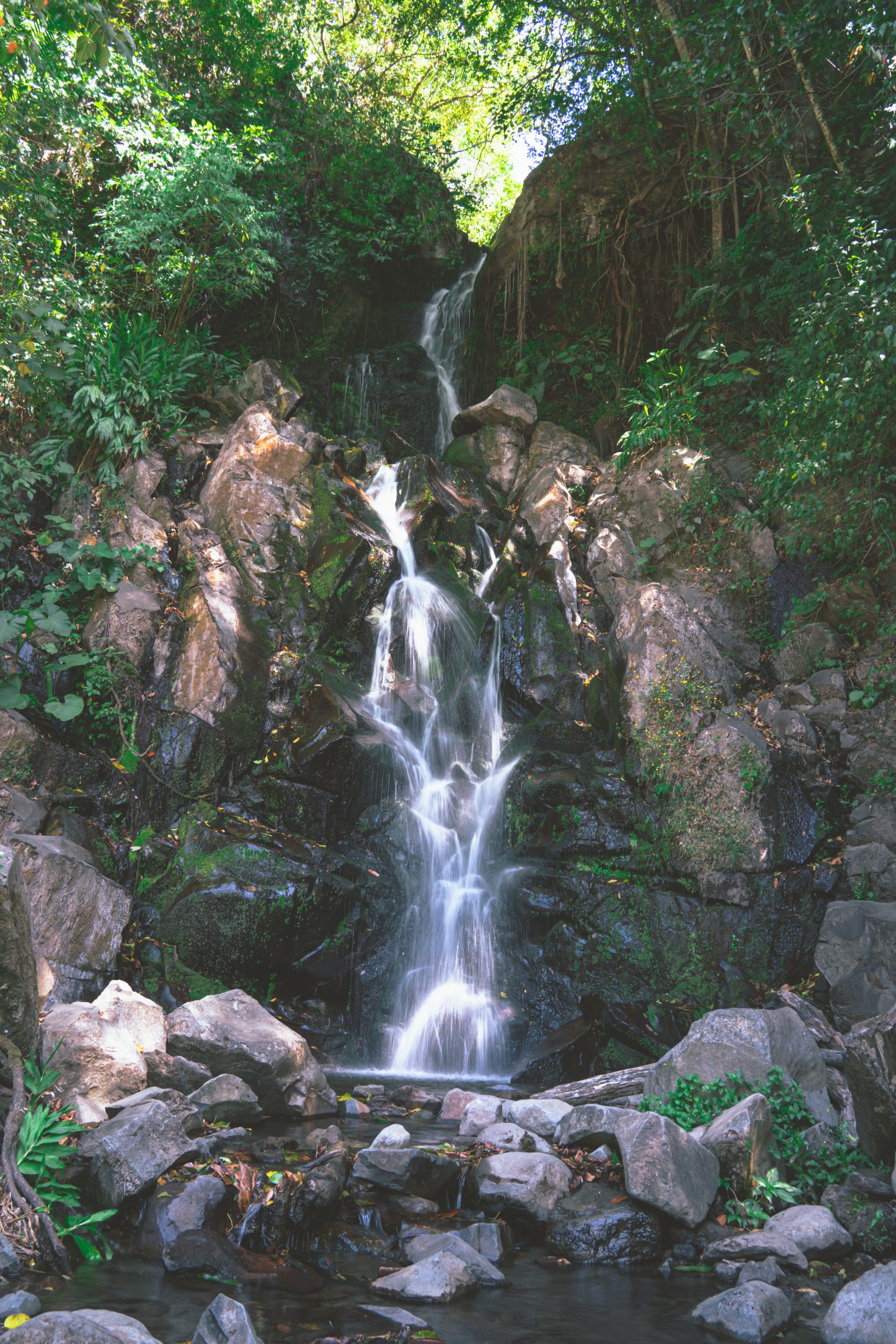 san ramon waterval, san ramon waterfal, waterfal boquete, boquete panama, waterval panama