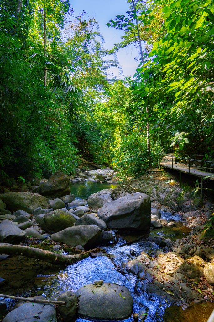 poel bij uvita waterfall, uvita waterval, uvita waterfall, uvita costa rica