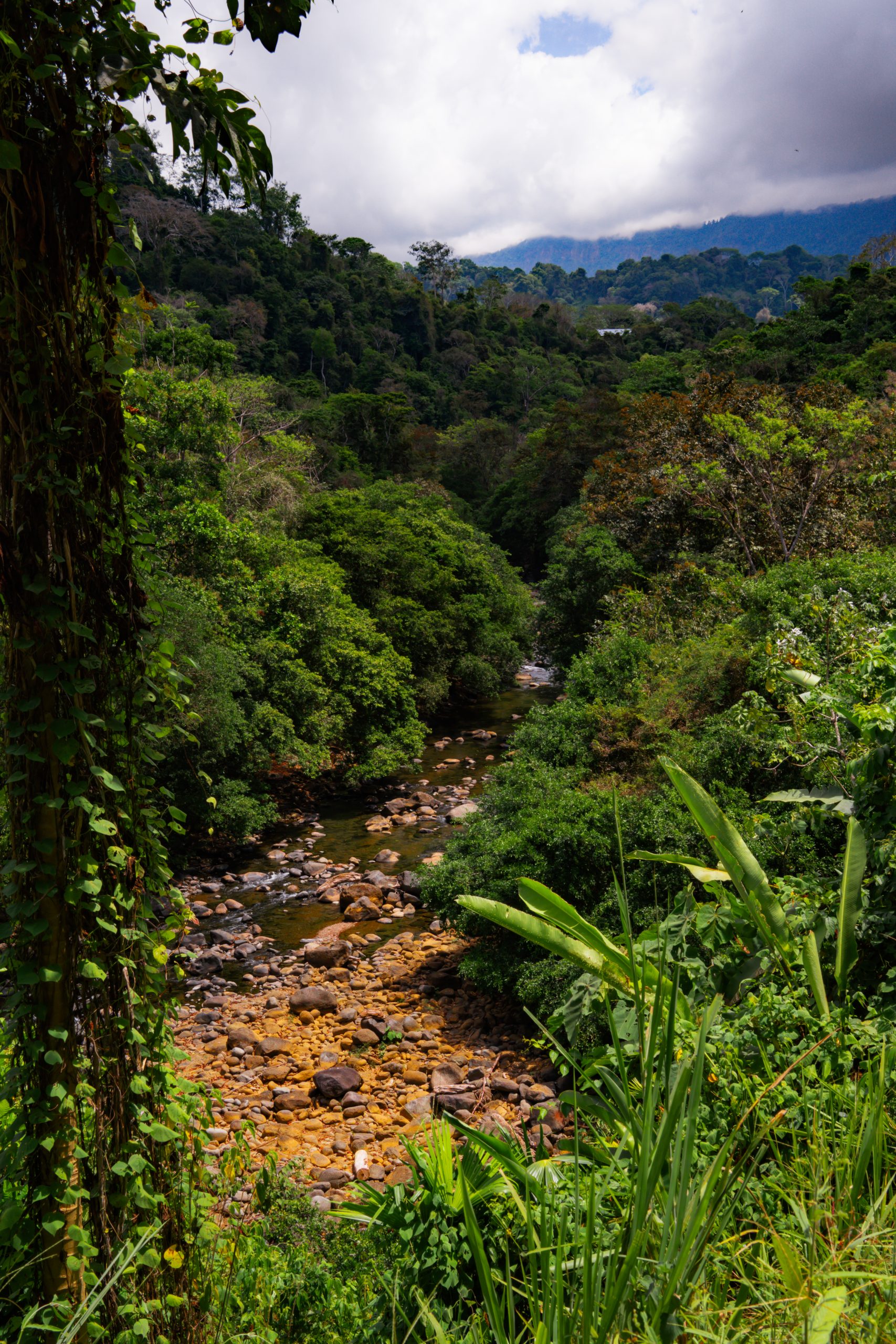 nauyaca waterfall nature park, hike naar nauyaca waterfall, uitzichten nauyaca waterfall