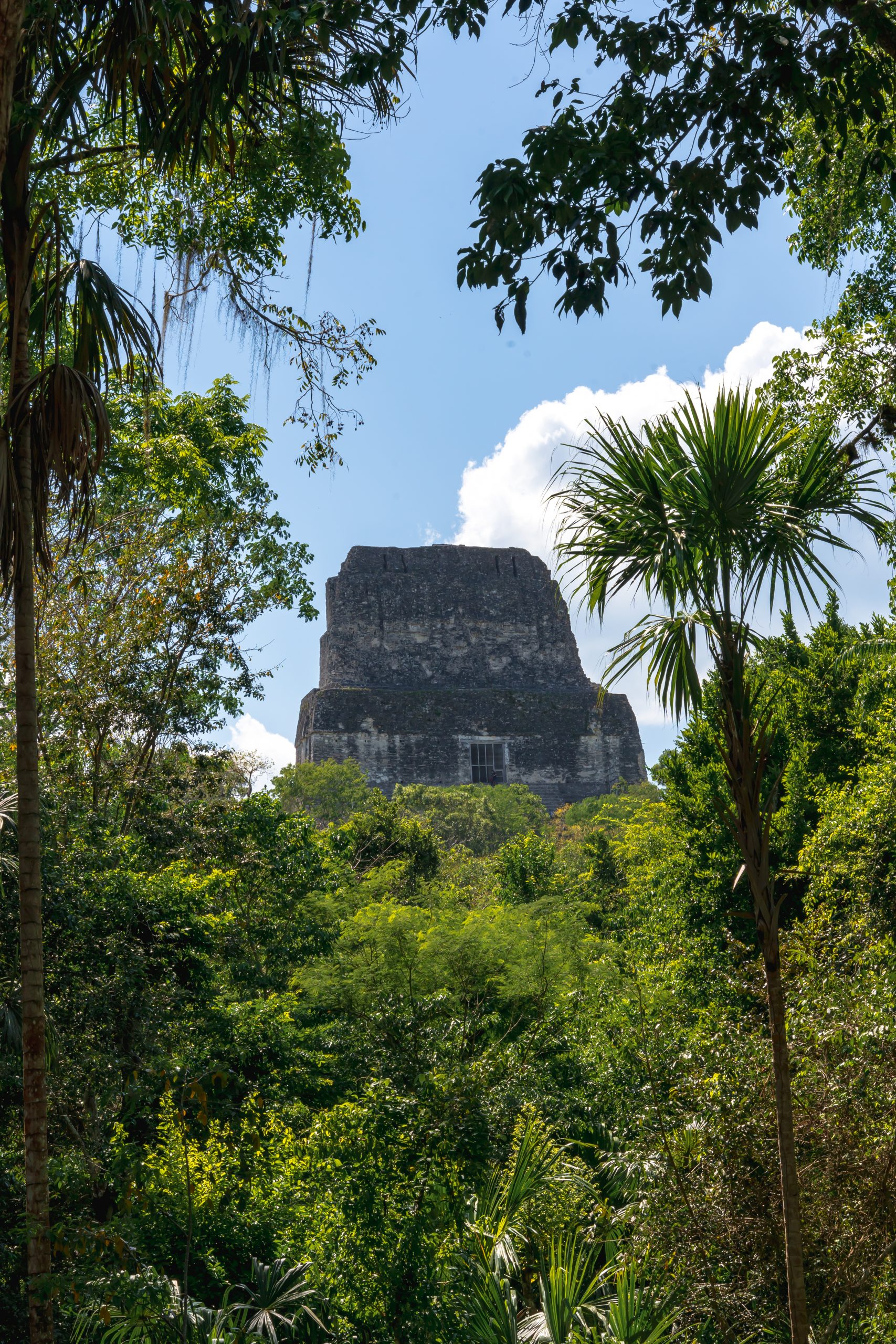 tikal guatemela, maya tempels guatemala, maya tempels tikal
