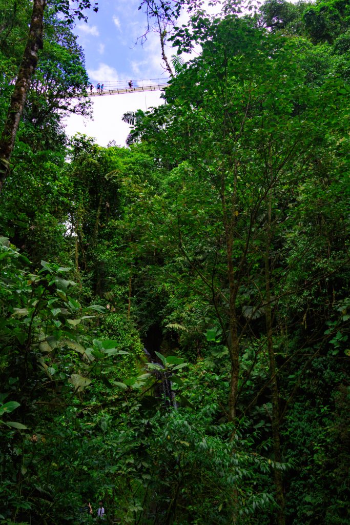hanging bridges arenal, mistico hanging bridges, jungle la fortuna, hangende bruggen la fortuna