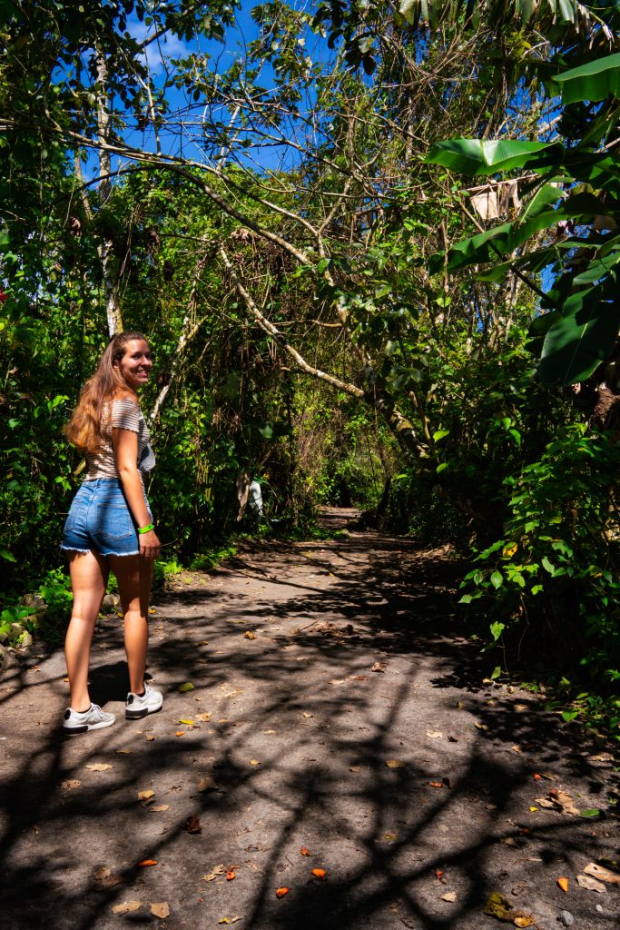 bogarin trail la fortuna, sloths sloths and sloths, luiaards trail, luiaards spotten, luiaards la fortuna