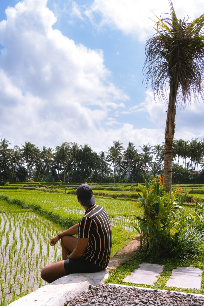 rijstvelden, huma cafe, ubud bali, rijstvelden bali, rijstvelden ubud