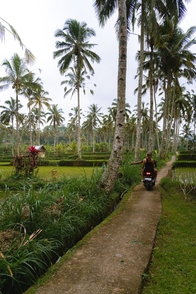 scooter, rijstvelden, bali, ubud, vakantie bali, activiteiten ubud, omgeving ubud