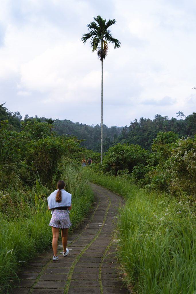 campuhan ridge walk, wandelroute ubud, wandelpad ubud, acitviteiten bali, vakantie bali