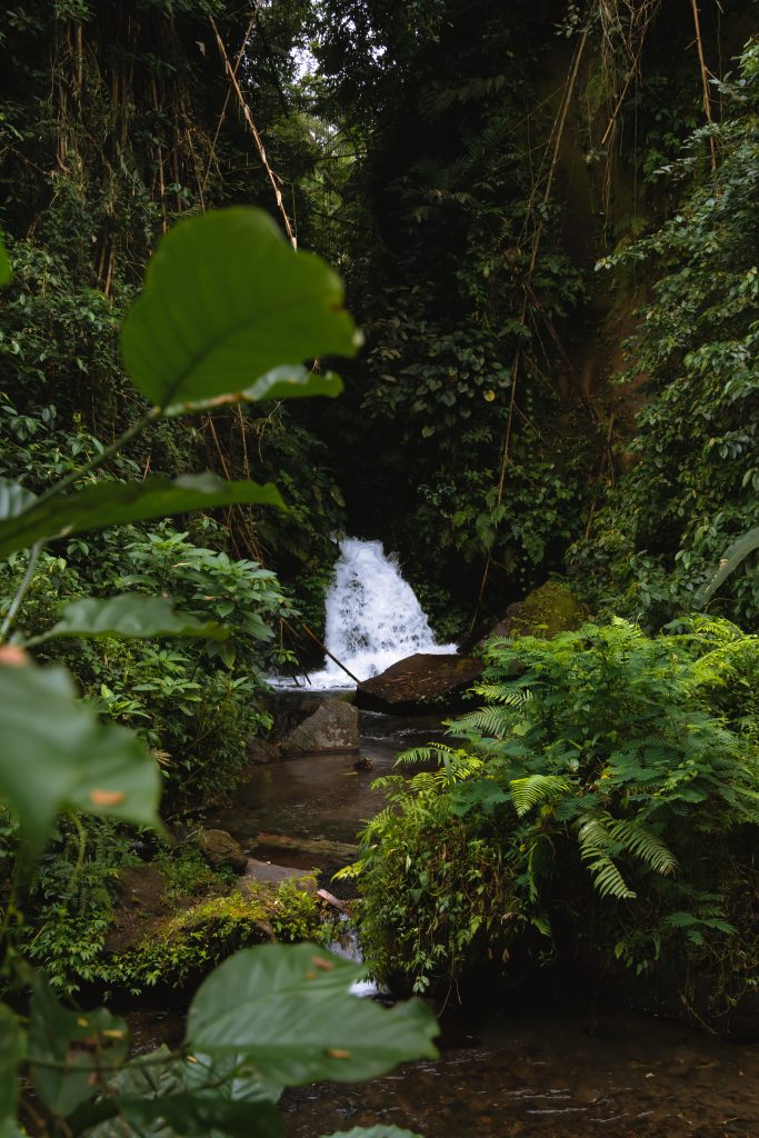 waterval bij gunung kawi tempel, natuur bali, natuur ubud