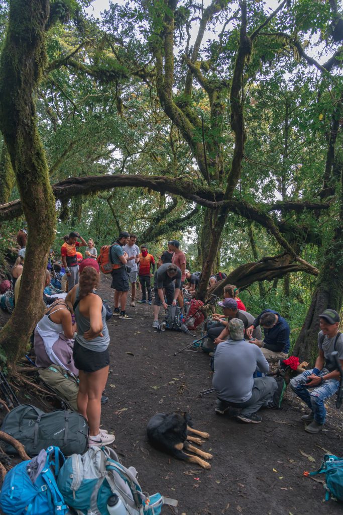 pauze vulkaan hike, cloudforest acatenango