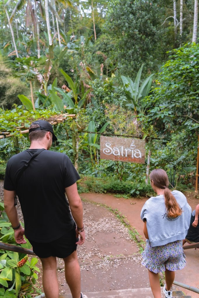 satria luwak coffee, kopi luwak, koffieplantage bali