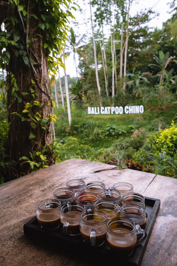 koffie proeven bali, koffie smaakjes, koffieplantage bali