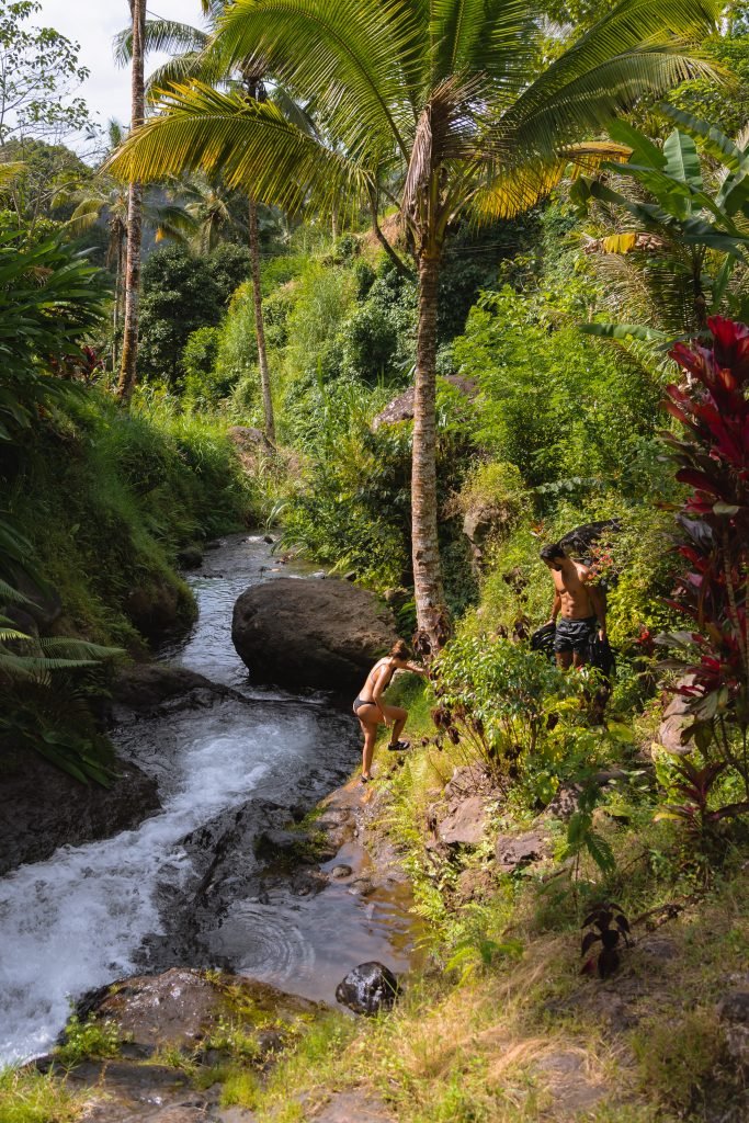 watervallen bezoeken in noord-bali, lemukih waterslide
