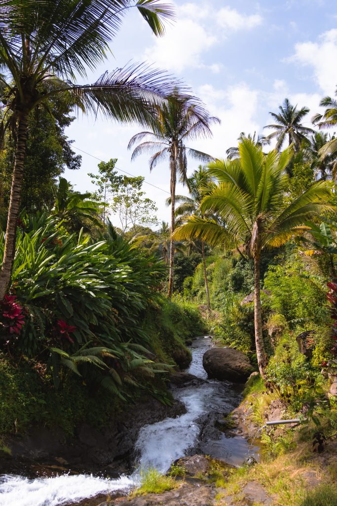 lemukih waterslide in Noord-Bali bezoeken