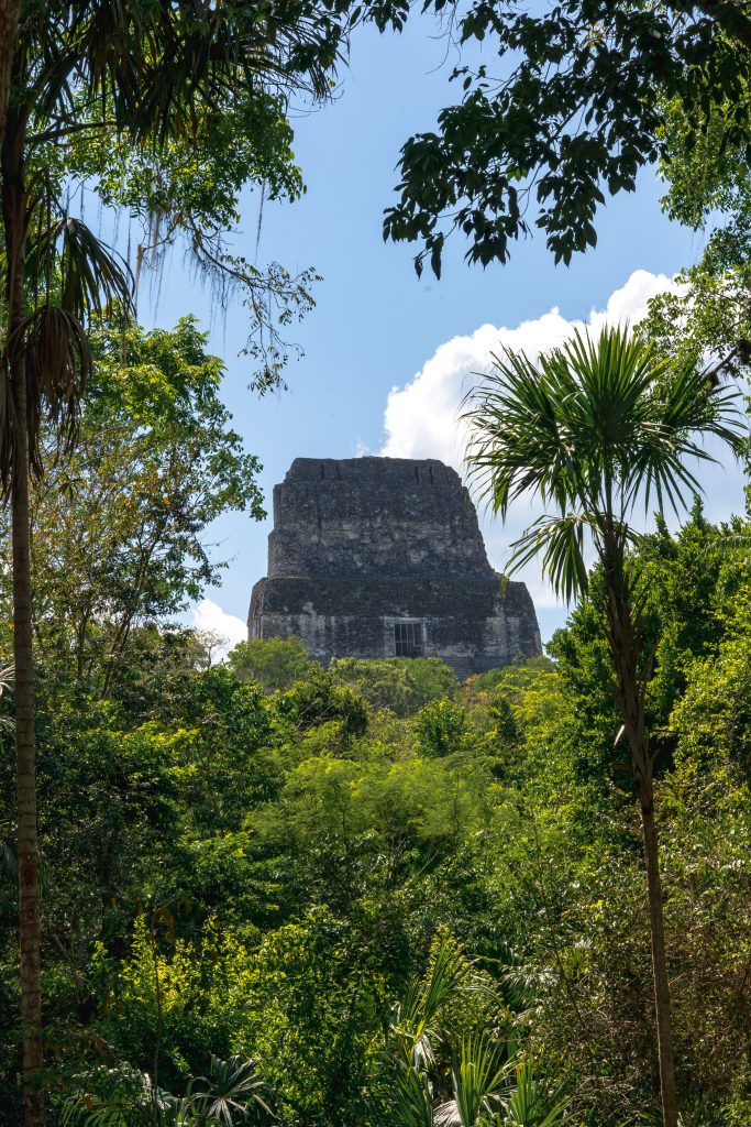 maya tempel, tikal guatemala