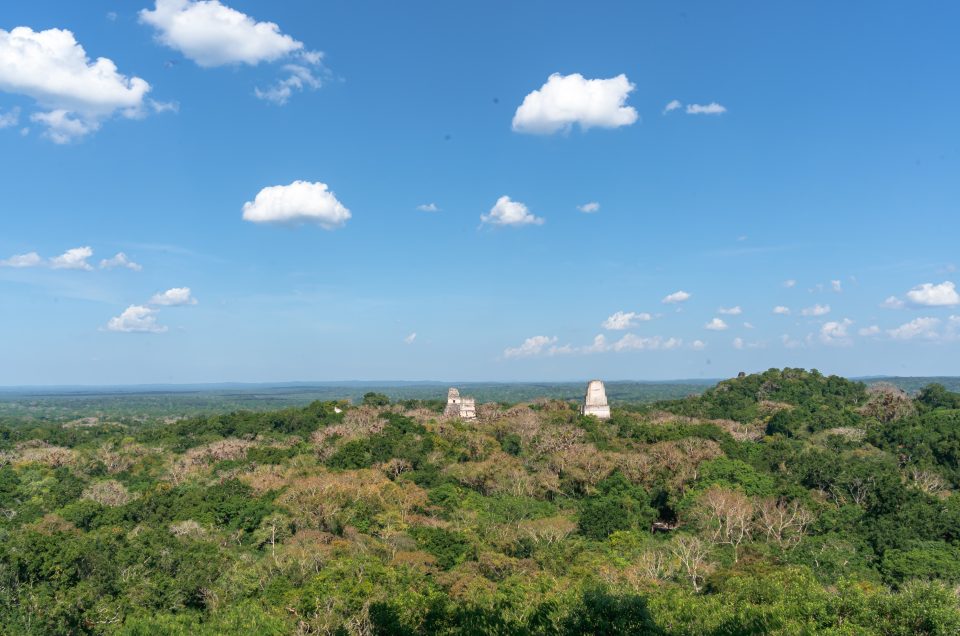 Tips voor het bezoeken van Tikal in Guatemala: een indrukwekkend plek