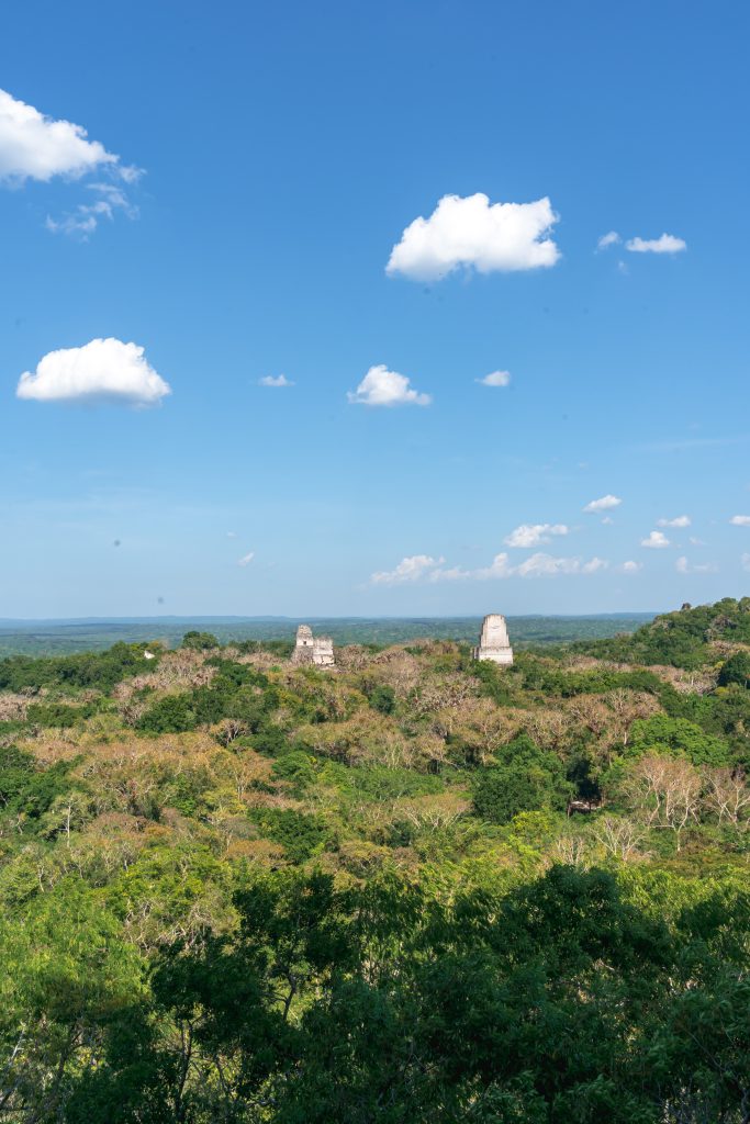 activiteit guatemala, tikal, maya